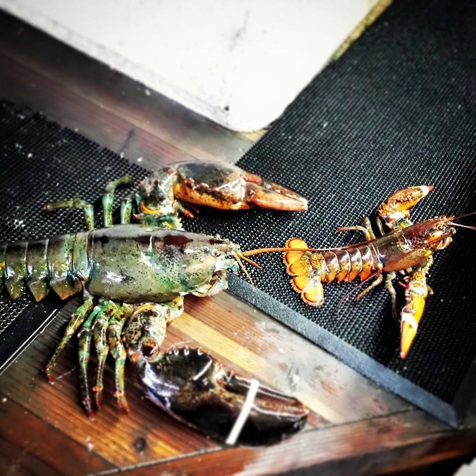 Lobster House & Seafood Restaurant Nassau County & Suffolk County, NY